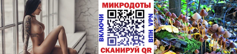 Псилоцибиновые грибы мицелий  Королёв 